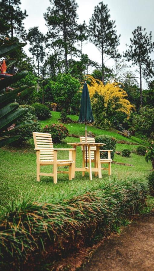 Chale Da Cachoeira - Cachoeira Particular Dentro Da Hospedagem Holiday home Nova Friburgo