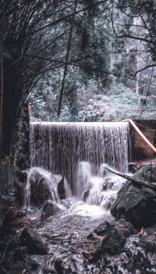 Chale Da Cachoeira - Cachoeira Particular Dentro Da Hospedagem Holiday home Nova Friburgo
