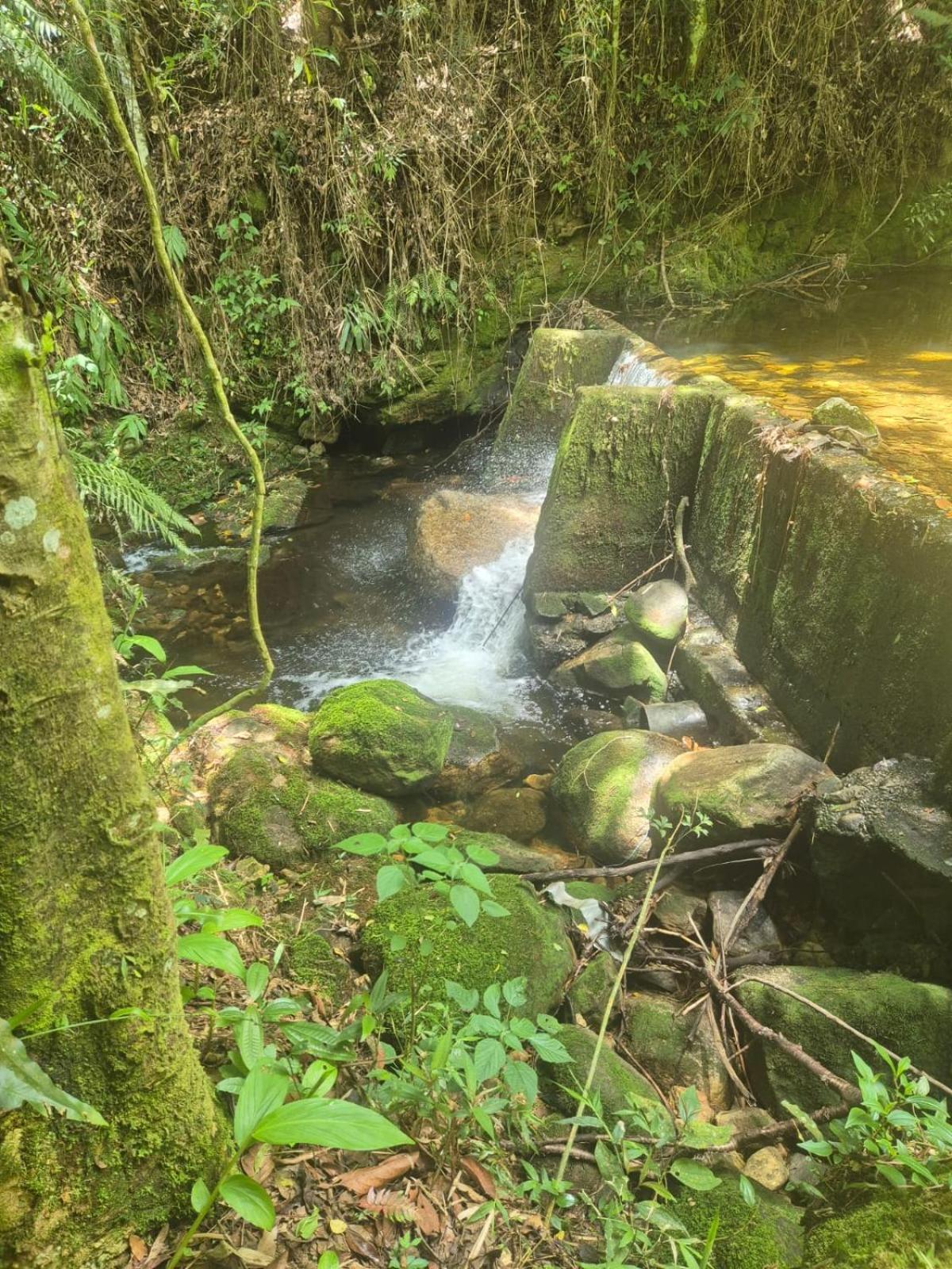 Chale Da Cachoeira - Cachoeira Particular Dentro Da Hospedagem Holiday home Nova Friburgo